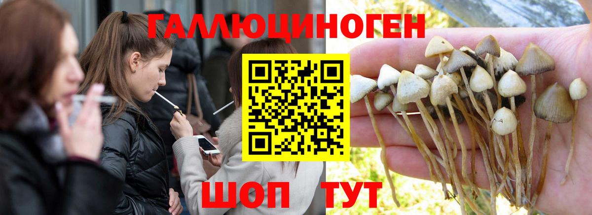 Псилоцибиновые грибы Cubensis  Вход с VPN  Ливны 
